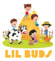 LilBuds